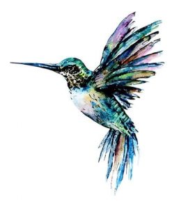 Hummingbird In Blue Green Colors – Paint By Numbers