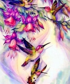 Colorful Hummingbirds – Paint By Number