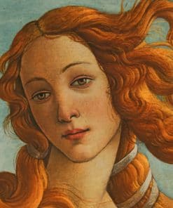Birth Of Venus Sandro Botticelli paint by numbers