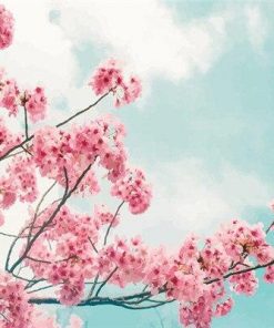Blossom Branch Paint By Numbers