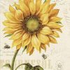 Sunflower Flower Paint By Numbers