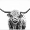 Grey Highland Cow - Animals Paint By Numbers
