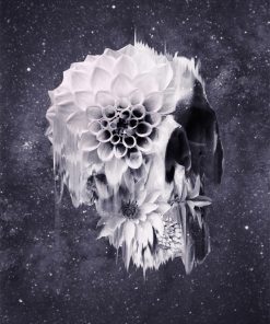 Decay Skull piant by numbers