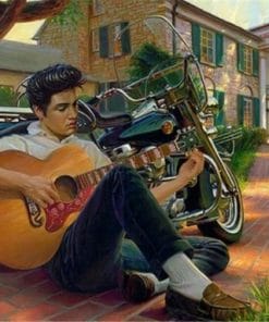 Elvis Presley in Graceland Paint By Numbers