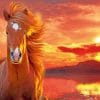 Evening Blaze horse Paint By Numbers