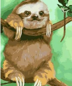 Funny Sloth - Animals Paint By Number