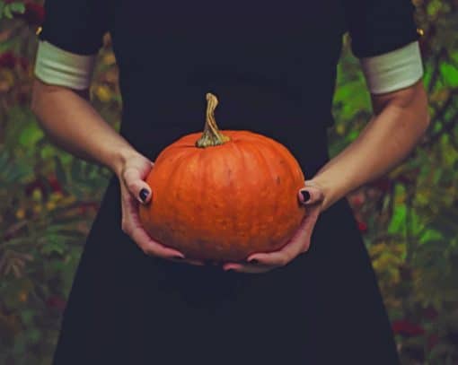 Girl Holding A Pumpkin paint by numbers