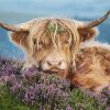 Highland Cow In The Heather - Animals Paint By Number