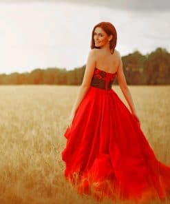Lady In Red Dress paint by numbers