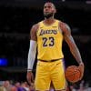 LeBron James Los Angeles Lakers paint by numbers