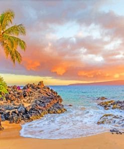 Palm Beach Paint By Numbers