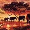 Elephants Silhouette - Animals Paint By Number