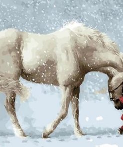 Snow Horse – Animals Paint By Numbers