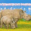 Rhinoceros Paint By Numbers