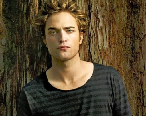 Robert Pattinson Paint By Numbers