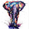 Colors Elephant - Animals Paint By Number