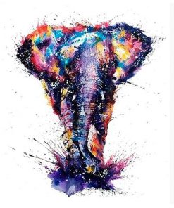 Colors Elephant - Animals Paint By Number