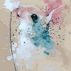 Bunny Rabbit paint by numbers