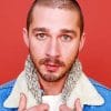 Shia Labeouf Paint By Numbers