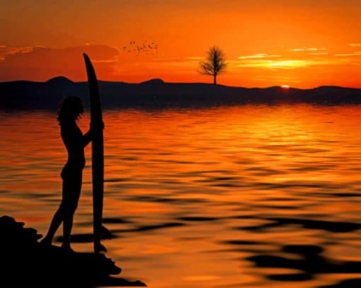Silhouettes Surfer Paint By Numbers