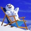 Snow Man - Paint By Numbers