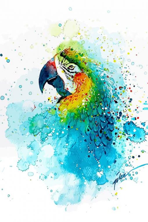 Splashed Parrot paint by numbers