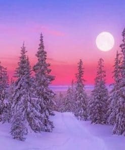 Winter Landscape  – Snow Paint By Number