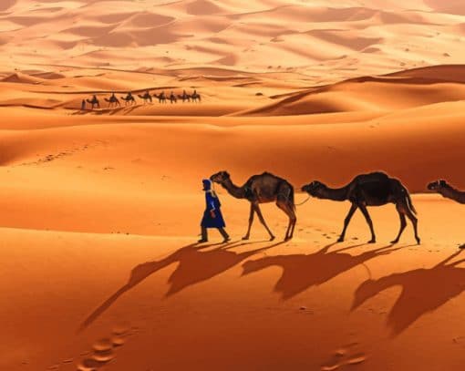 Camel Caravan In The Sahara paint by numbers