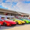Colorful Lamborghini paint by numbers
