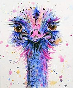 Ostrich Bird - Paint By Number