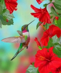 Hummingbird And Flowers – Birds Paint By Number