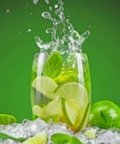 lime-cocktail-paint-by-numbers-500x400