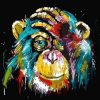 Colorful Monkey - Animals Paint By Number