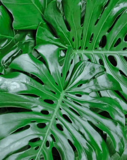 Green Monster Leaves Closeup paint by numbers