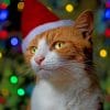 Orange Cat With Christmas Hat paint by numbers
