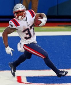Patriots Of New England paint by numbers