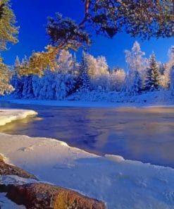 Frozen River And Trees paint by numbers