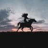 Woman Riding A Horse Silhouette paint by numbers