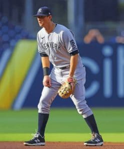 Yankees Team Player paint by numbers