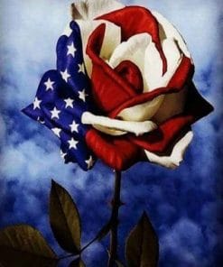 American Flag Rose - Paint By Numbers