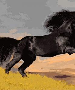 Black Horse - Paint By Number