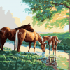 Horses Family - Paint By Number