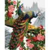 Peacocks In Flowered Tree - Birds Paint By Number