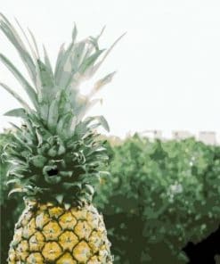 Ananas Fruit - Paint By Numbers