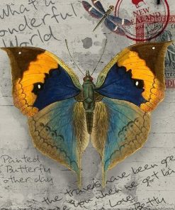 Antique Butterfly – Insects Paint By Numbers