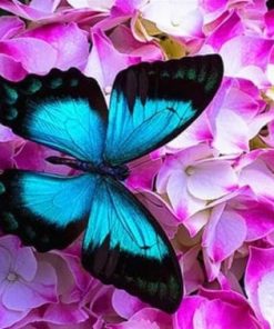 Blue Butterfly On Pink Flowers – Insects Paint By Numbers