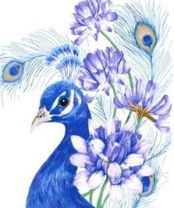 Blue Peacock - Birds Paint By Number