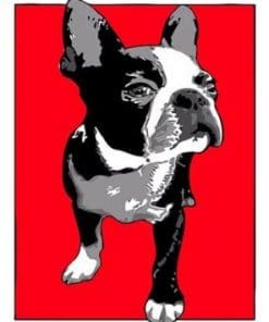 Boston Terrier Dog - Paint By Numbers