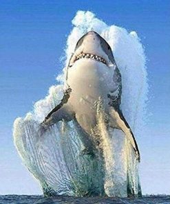 Great Shark Paint by numbers