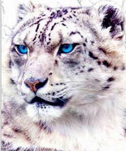 Snow Leopard  – Paint By Number